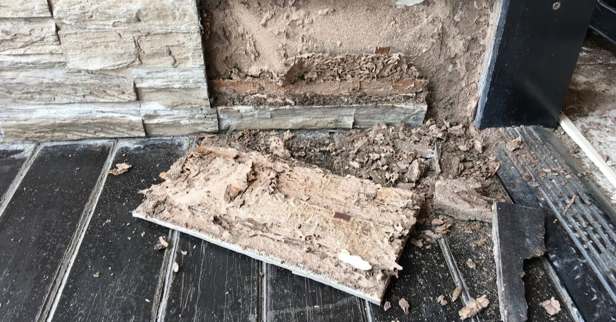 Termite Inspections